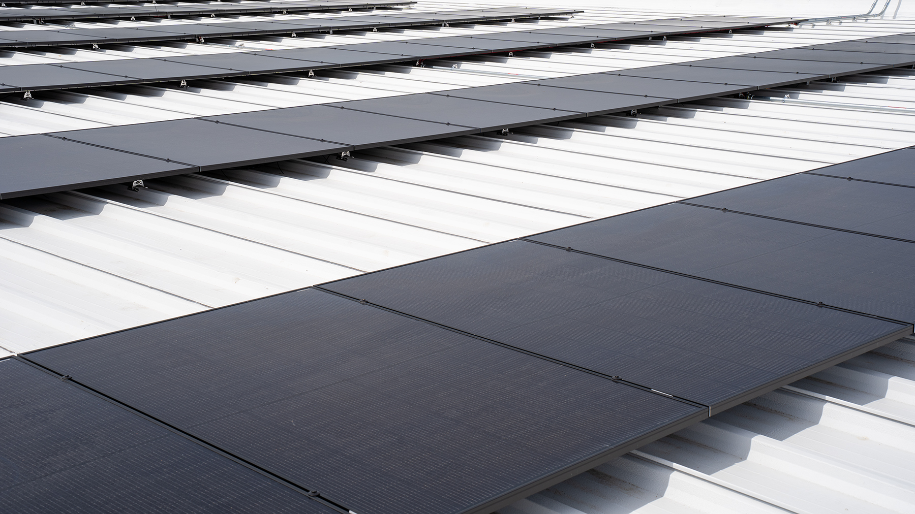 Time to Act: Why Businesses Should Move on Solar Sooner than Later
